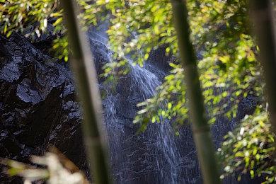 和风Roguelite动作游戏《侍神大乱战》2022年4月21日NS＆ PS4＆Steam正式发布