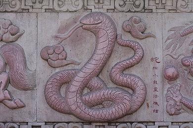 在发行《原子之心》后 Focus又相中了这款中国游戏